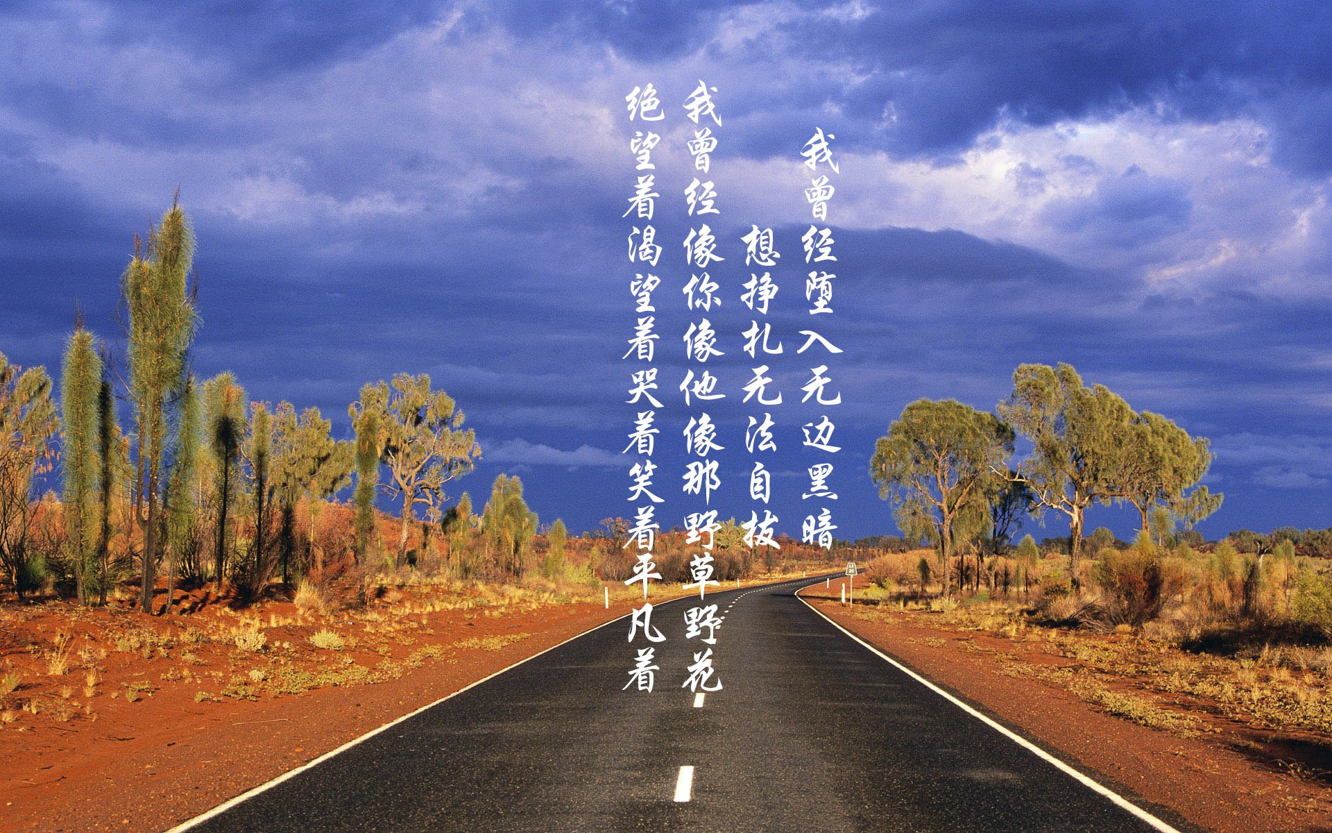 战术压制与巨星接管,从CBA到世界杯的篮球智慧