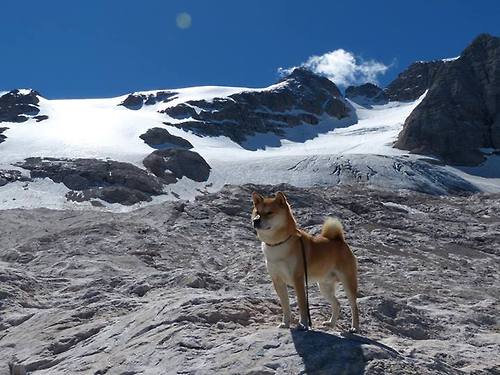 世界排名争夺战焦点战，勇士完胜独行侠，西部格局再掀波澜