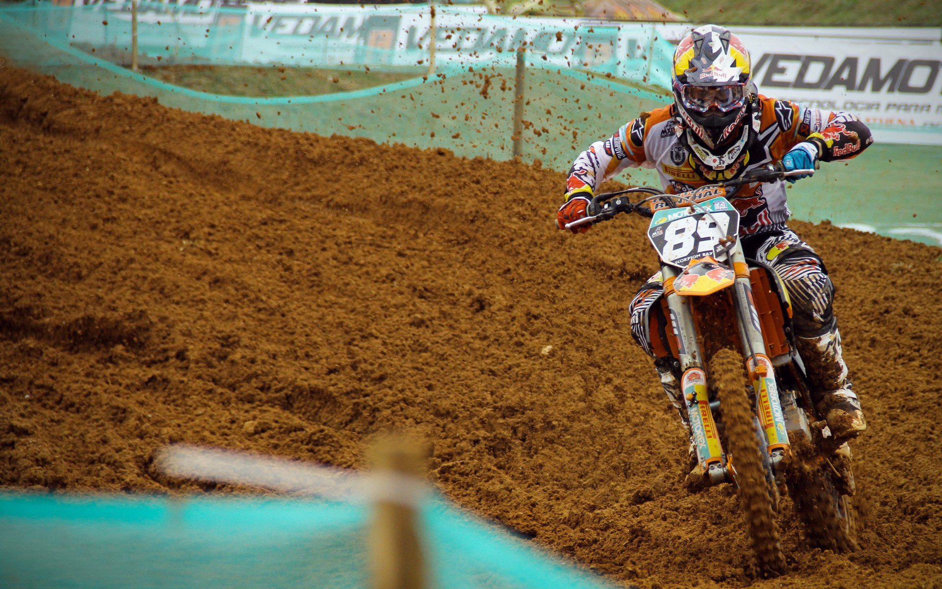 IM体育在线注册-塔图姆的指挥棒，美加墨世界杯之夜，一人节奏带动全队交响